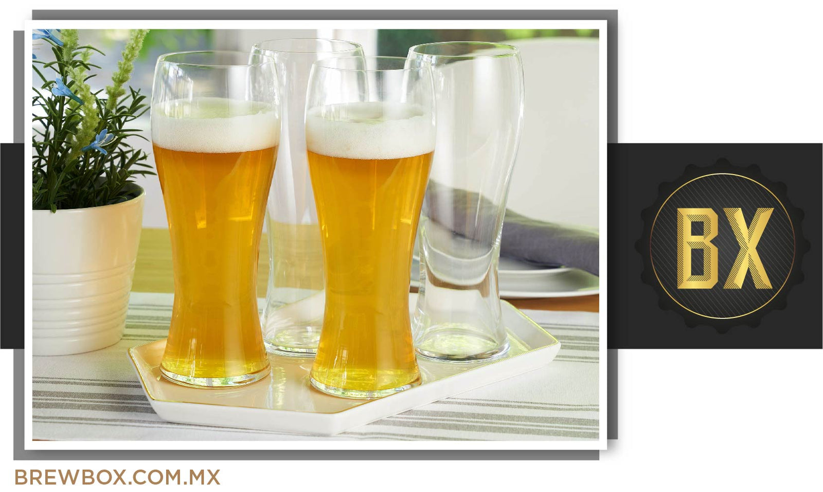 Receta BREWBOX Heffeweizen