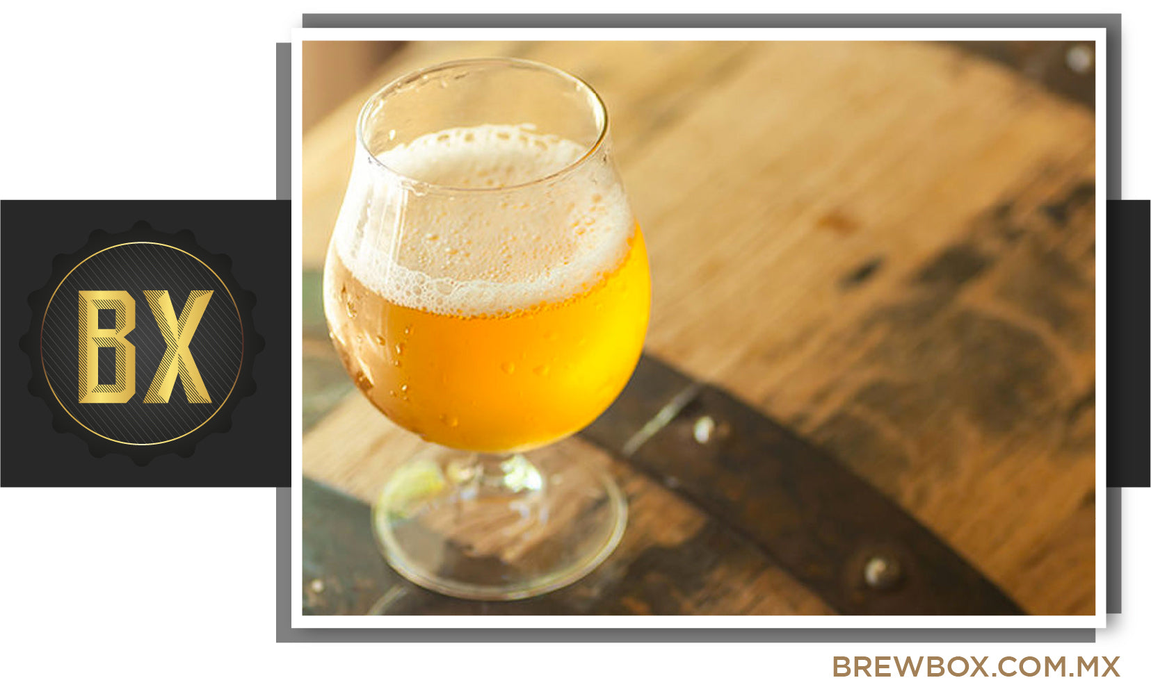 RECETA BREWBOX SAISON BELGA