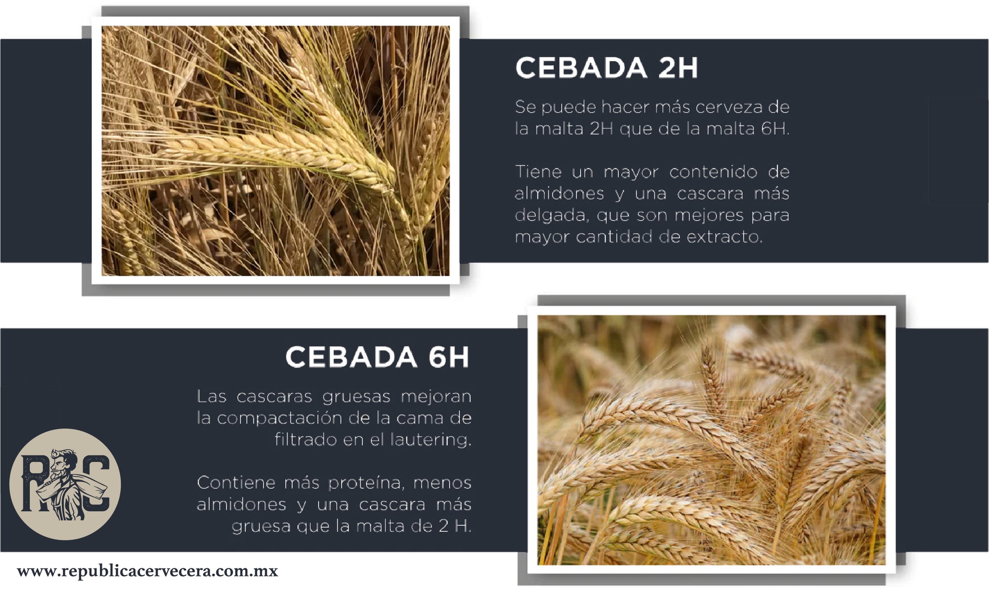 Cebada 2H vs. Cebada 6H