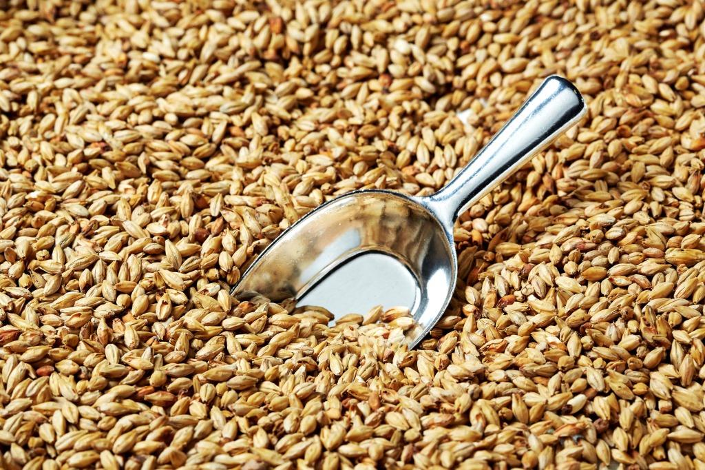 RC 2 Row Pale Malt