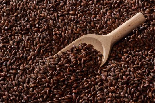 Malta Black Swaen Barley - Roasted Barley