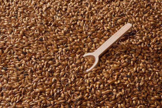 Malta Gold Swaen Brown Supreme - The Swaen - Caramelo 120