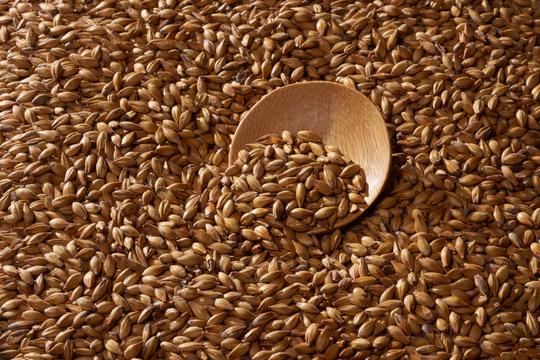 Malta Gold Swaen Brown - The Swaen - Caramelo 80