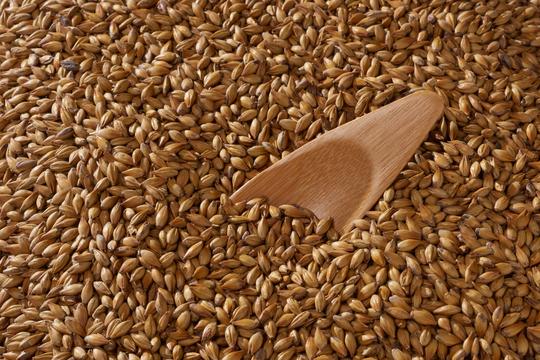 Malta Gold Swaen Classic - The Swaen - Caramelo 40