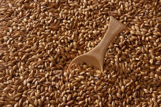 Malta Gold Swaen Hell - The Swaen - Caramelo 10