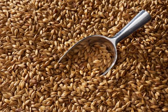 Malta Gold Swaen Light - The Swaen - Dextrina