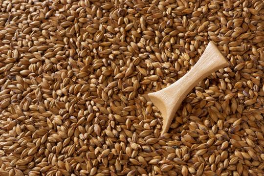 Malta Gold Swaen Munich Dark - The Swaen - Caramelo 60