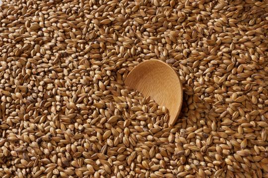 Malta Gold Swaen Munich Light - The Swaen - Caramelo 30