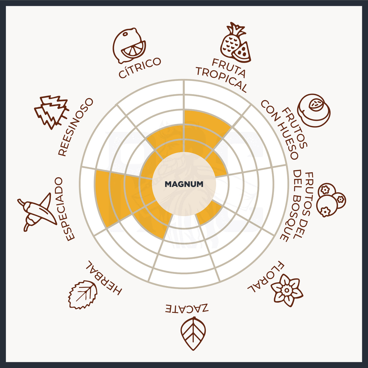 Magnum