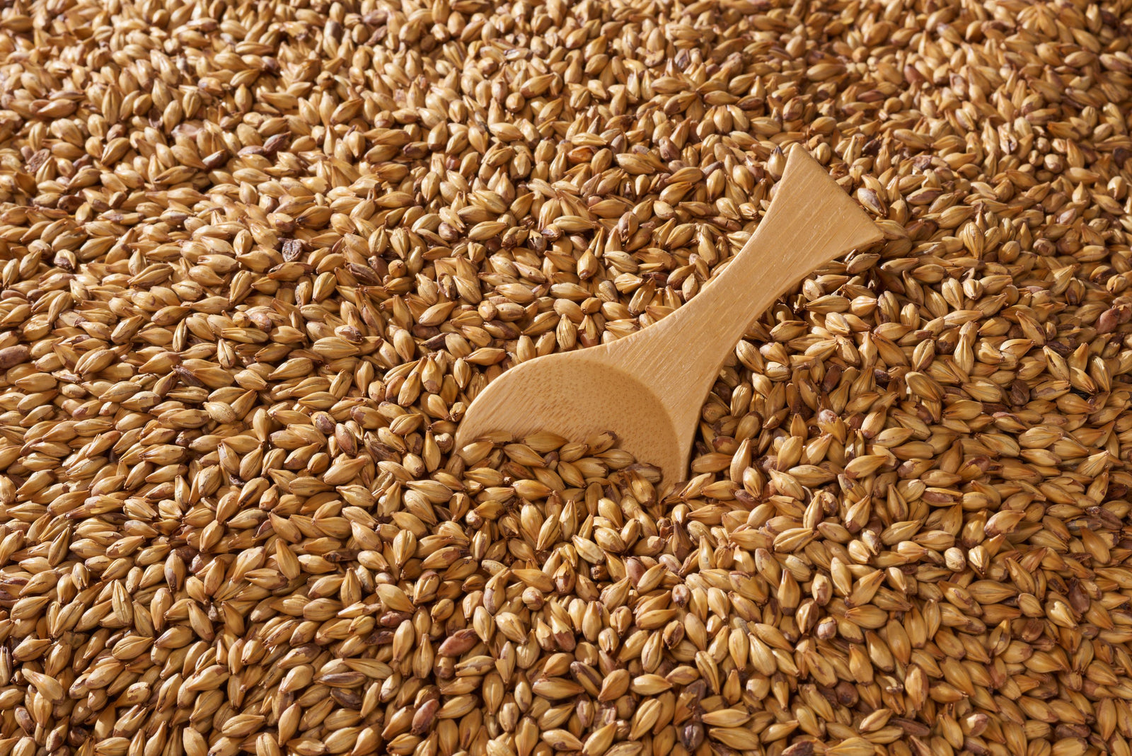 Malta Swaen Melany - The Swaen - Melanoidina