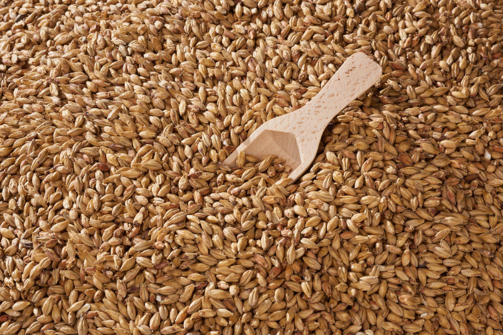 Malta Swaen Munich Dark - The Swaen - Munich