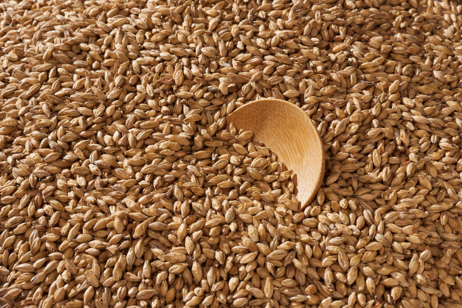 Malta Base Swaen Pilsner - The Swaen