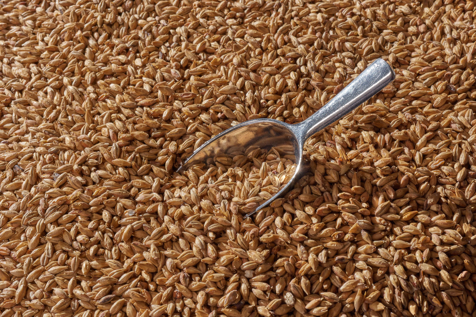 Malta Swaen Vienna - The Swaen